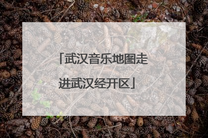 武汉音乐地图走进武汉经开区